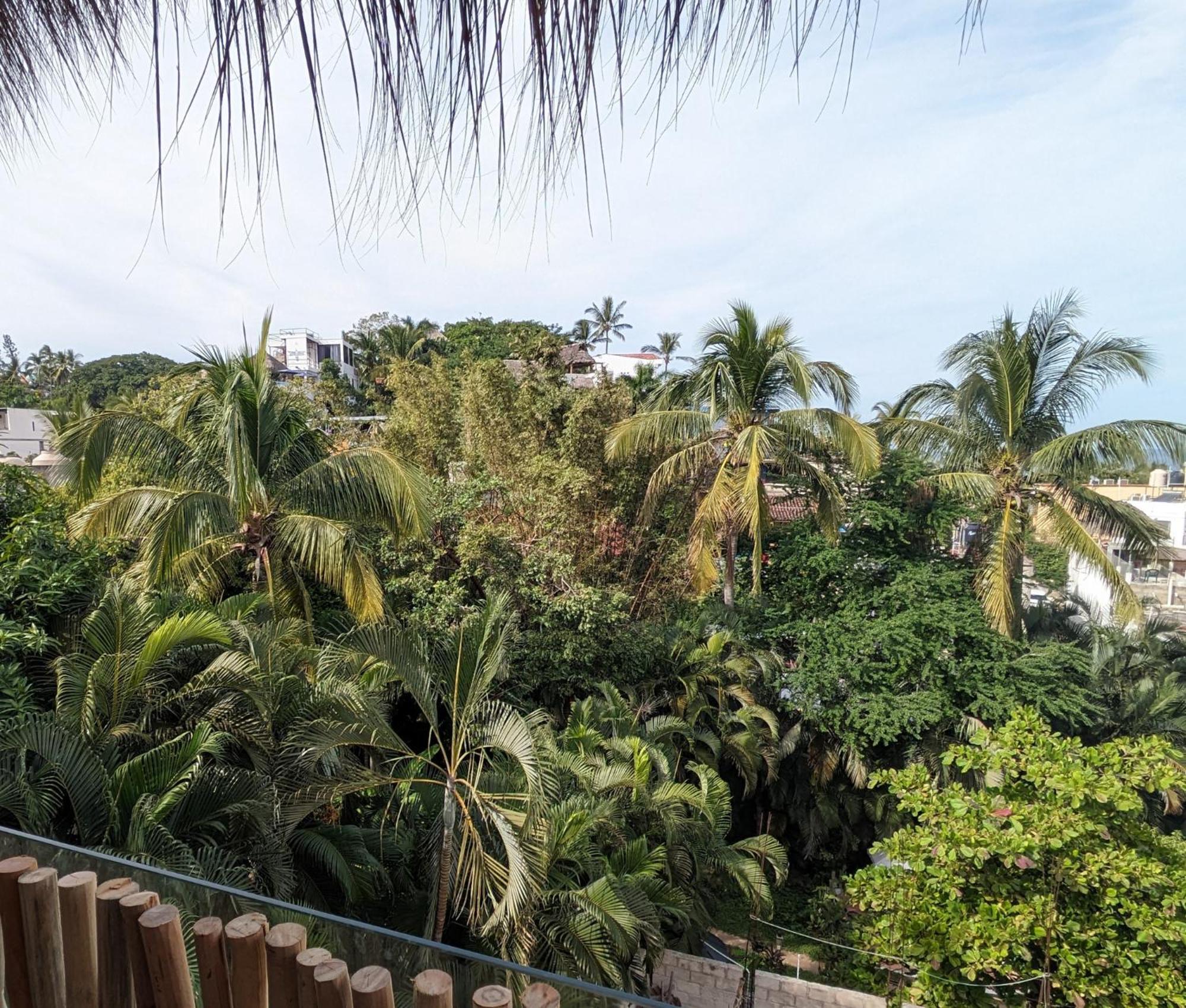 Casa Pepe Ξενοδοχείο Sayulita Εξωτερικό φωτογραφία